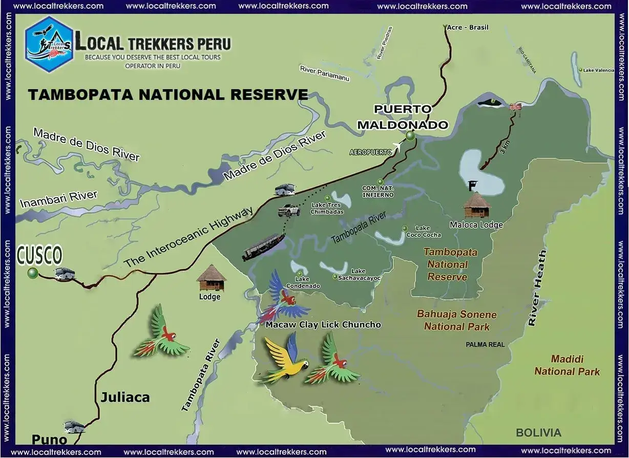 Tambopata National Reserve + Macaw Clay Lick 5 days and 4 nights - Local Trekkers Peru - Local Trekkers Peru