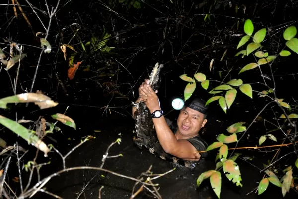 Réserve de Pacaya Samiria : La forêt des miroirs à Iquitos