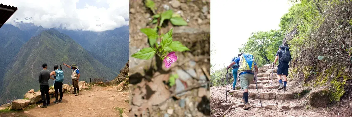 Camino Choquequirao y Machu Picchu - Local Trekkers Peru Camino Choquequirao 8 Días