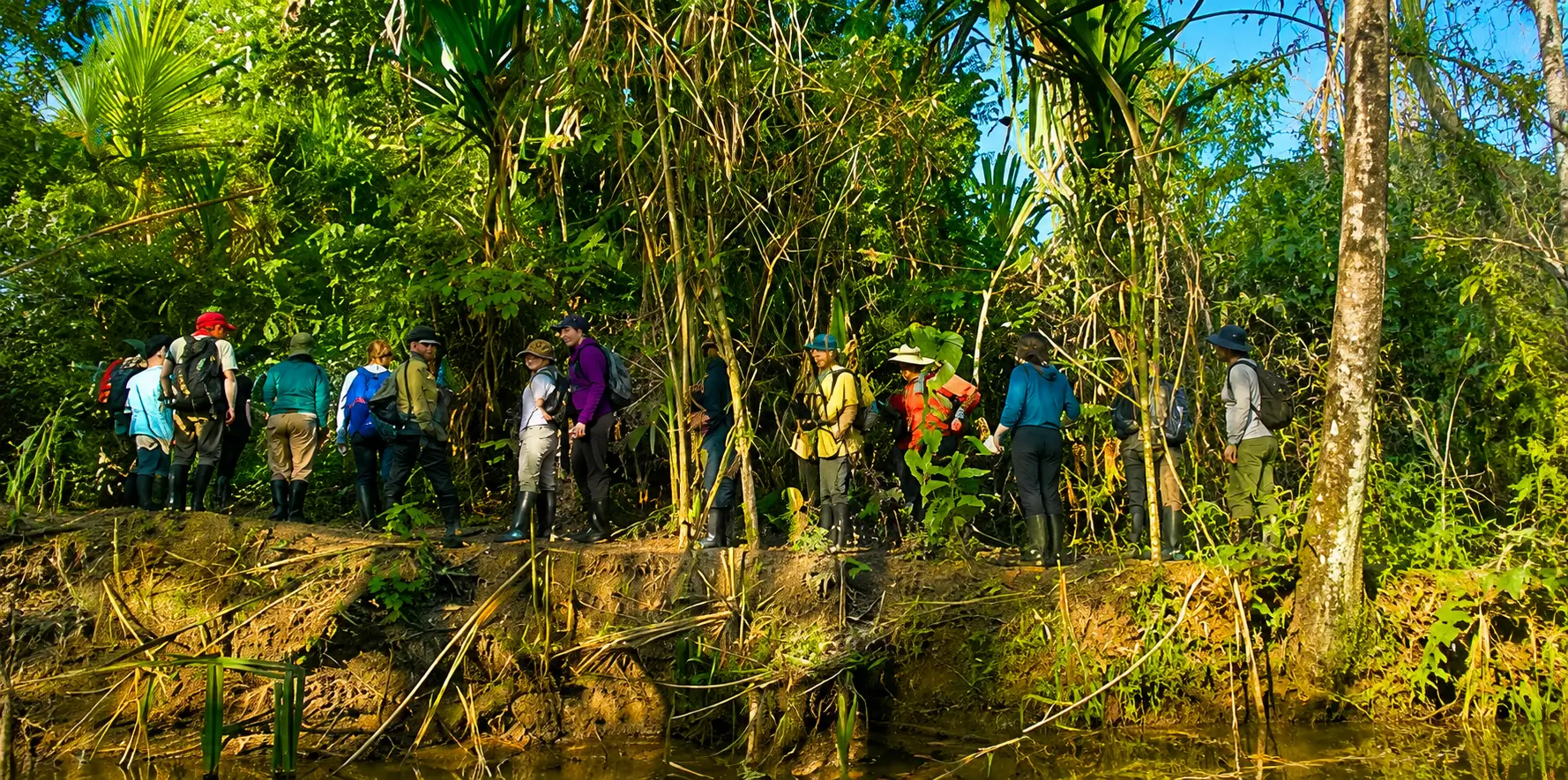 viajeros está explorando la exuberante vegetación de la Amazonía peruana en un tour organizado