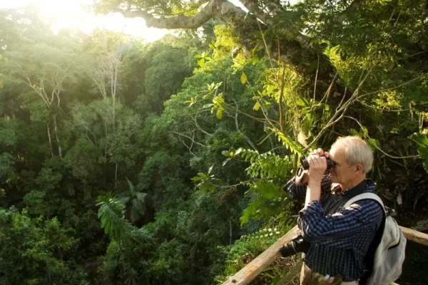 Comment se déroule la visite du parc national de Manu : Guide complet pour les voyageurs