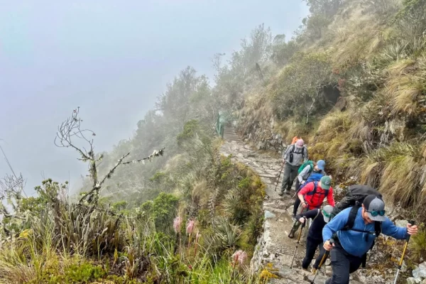 Nourriture sur le Chemin Inca : menus et restrictions alimentaires