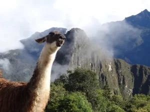 Machu Picchu’s Geographic Position: Discovering the Lost City of the Incas