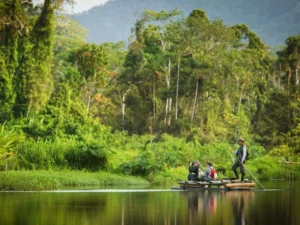 Las Mejores Actividades para Niños en el Parque Nacional del Manu