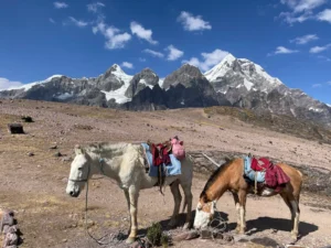 Ausangate: Complete Guide to the Sacred Trek in the Peruvian Andes