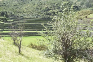 Tipón, Cusco: The hidden gem of Inca hydraulic engineering
