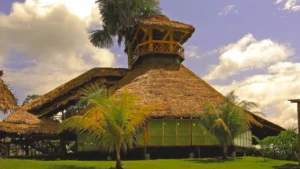 Best Time to Visit Iquitos & the Amazon Rainforest