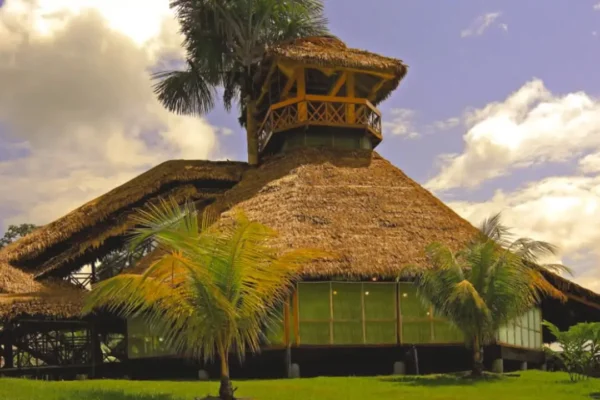 Best Time to Visit Iquitos & the Amazon Rainforest