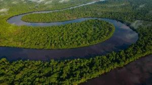 Pink River Dolphins in Iquitos: Where & How to See Them