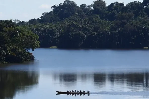 Lake Sandoval Puerto Maldonado: How to Visit Peru’s Wildlife Gem