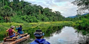 Manu National Park Tour 4 Days vs 7 Days: Which One Should You Choose?