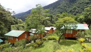 Manu Camping Adventure: How to Sleep Under the Stars in the Amazon