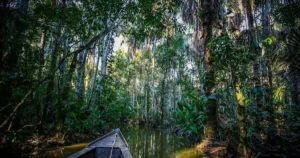 Cómo llegar a Iquitos: Vuelos, barcos y todas tus opciones