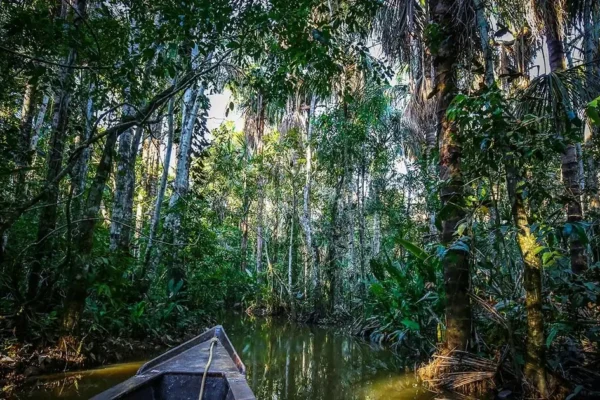 How to Get to Iquitos: Flights, Boats & All Your Options