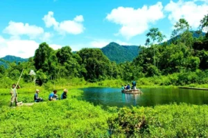Manu vs Tambopata: ¿Qué Amazonía peruana deberías visitar?