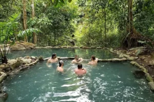 Aguas Termales en el Manu: Las Piscinas Termales Ocultas de la Selva
