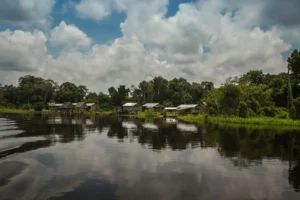 Reserva Pacaya Samiria: La Guía Definitiva para Viajeros