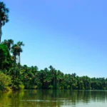Puerto Maldonado y Tambopata: guía completa de tours de 2, 3 y 4 días