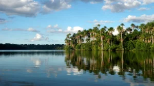 Tambopata National Reserve: Complete Visitor Guide 2026