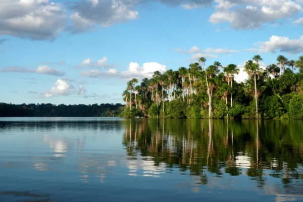 Tambopata National Reserve: Complete Visitor Guide 2026