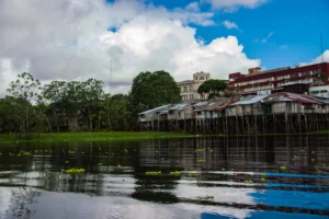 Iquitos Amazon Tours: How to Choose the Best One for You