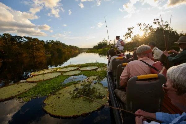 Santé en Amazonie péruvienne : fièvre jaune, paludisme, insectes et répulsif